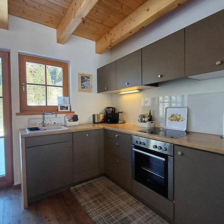 Tauerndorf Enzingerboden Ski In&Out - Steinbock Lodges エクステリア 写真