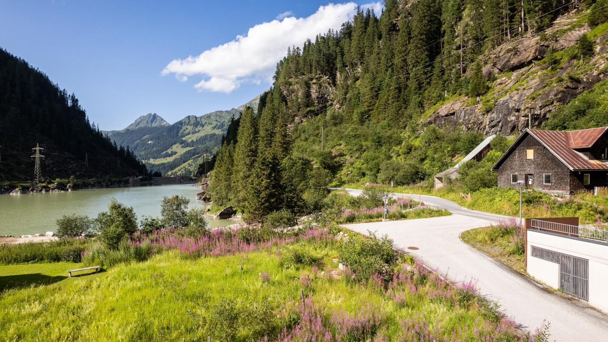 Tauerndorf Enzingerboden Ski In&Out - Steinbock Lodges エクステリア 写真